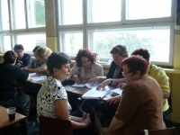 FEG SIBIU (12)